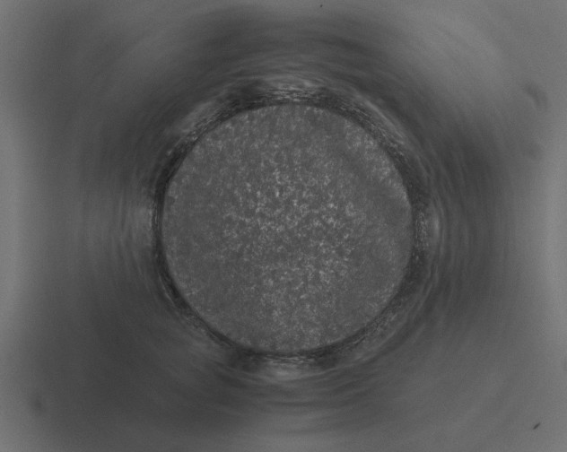 X0000116480757200912292046