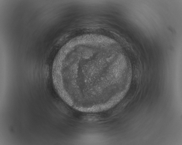 X0000116480758200912292046