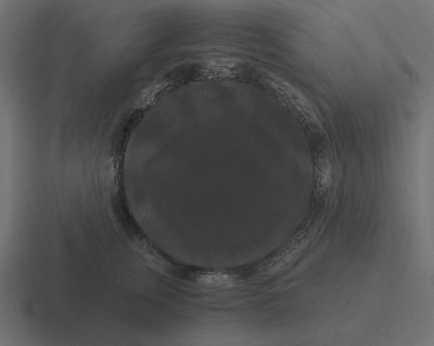 X0000116480759200912292046