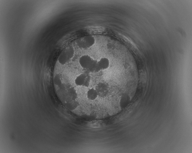 X0000116480761200912292046