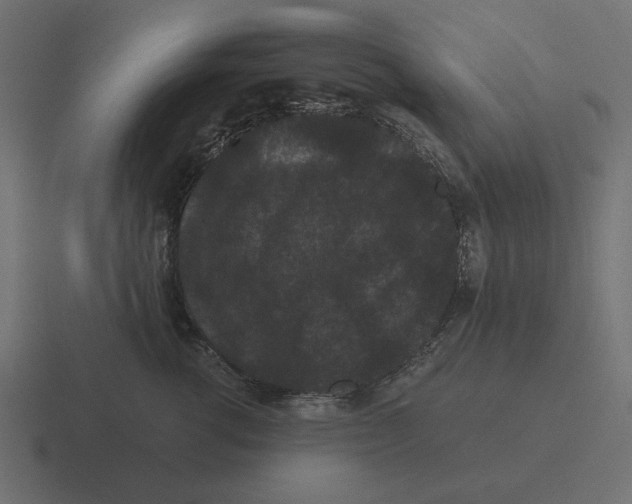 X0000116480762200912292046