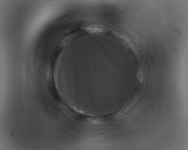 X0000116480763200912292046