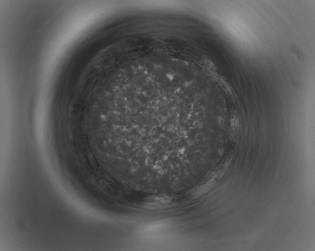 X0000116480765200912292046