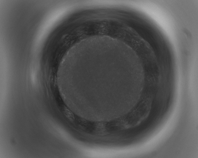 X0000116480766200912292046