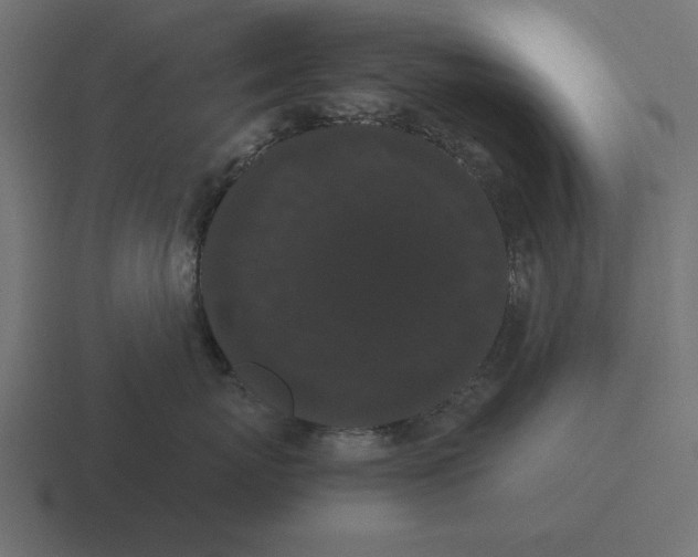 X0000116480767200912292046