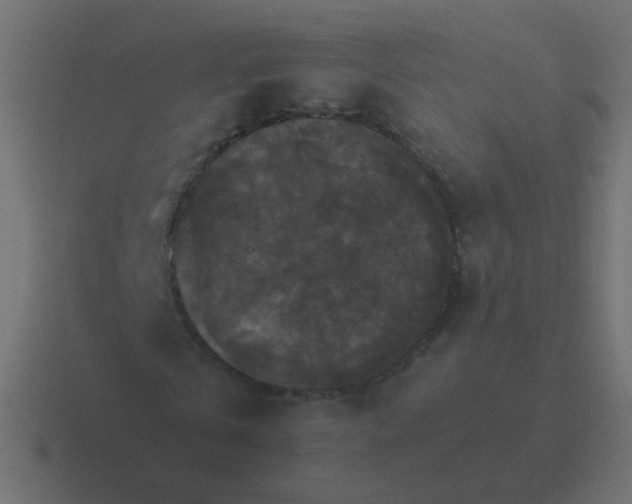 X0000116480769200912292045