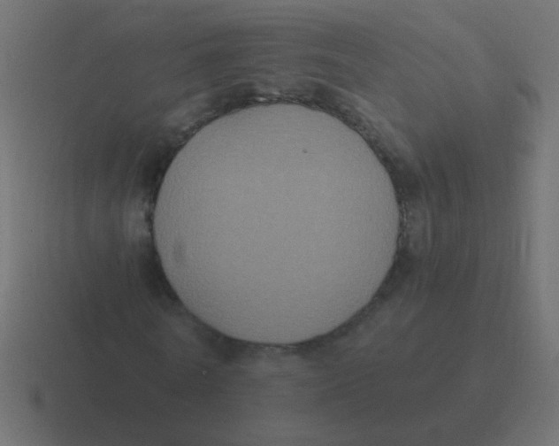 X0000116480770200912292045