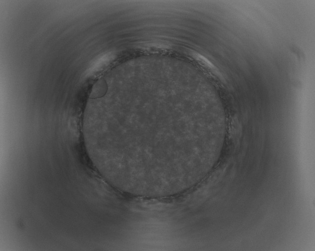 X0000116480774200912292045