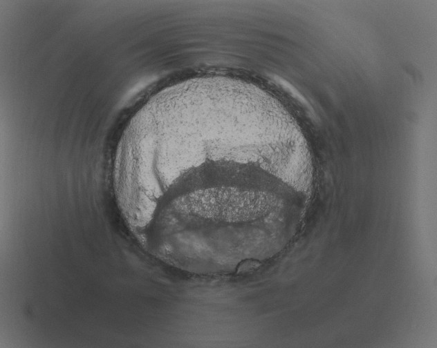 X0000116480775200912292045