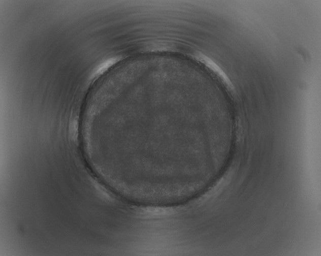 X0000116480777200912292045