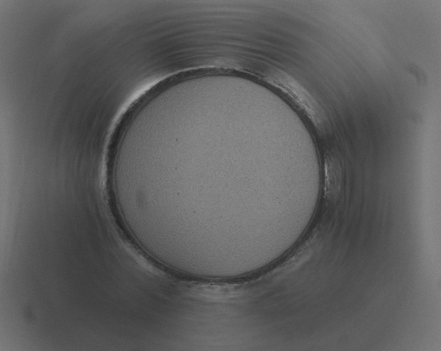 X0000116480780200912292045