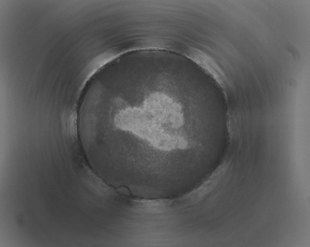 X0000116480781200912292045