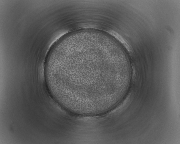 X0000116480782200912292045