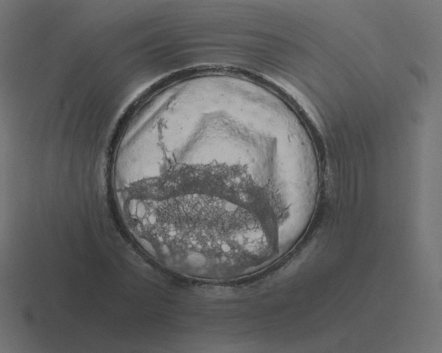 X0000116480783200912292045