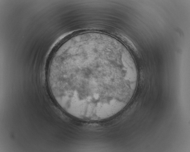 X0000116480784200912292045