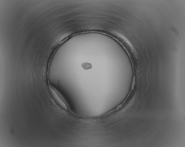 X0000116480785200912292045