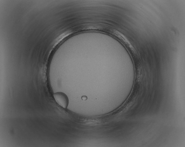 X0000116480786200912292045