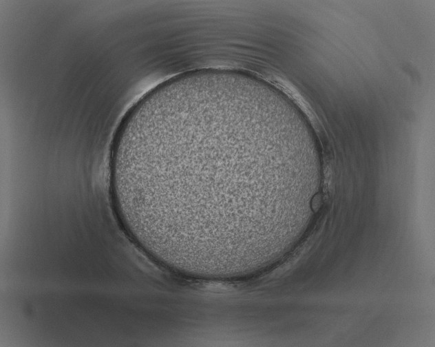 X0000116480787200912292045