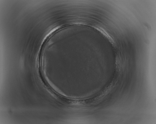 X0000116480790200912292045