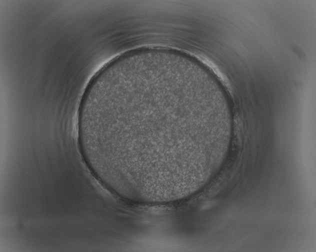 X0000116480791200912292045