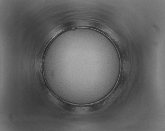 X0000116480793200912292045