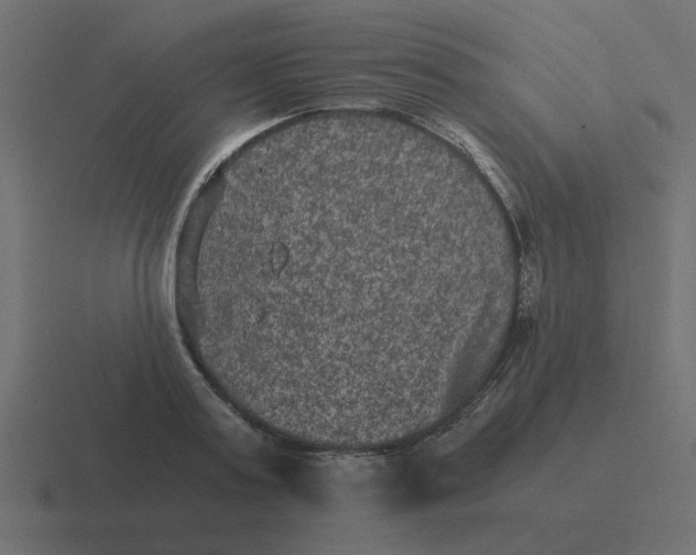 X0000116480795200912292045