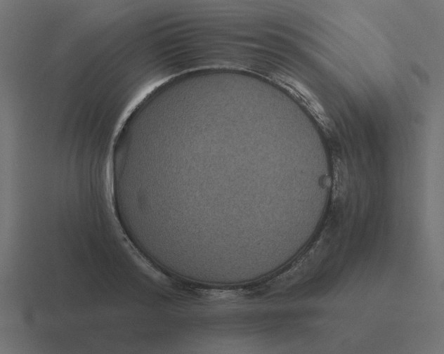 X0000116480796200912292045