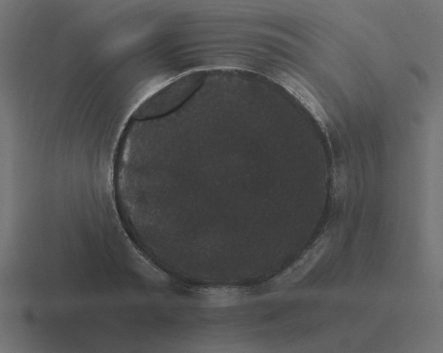 X0000116480797200912292045