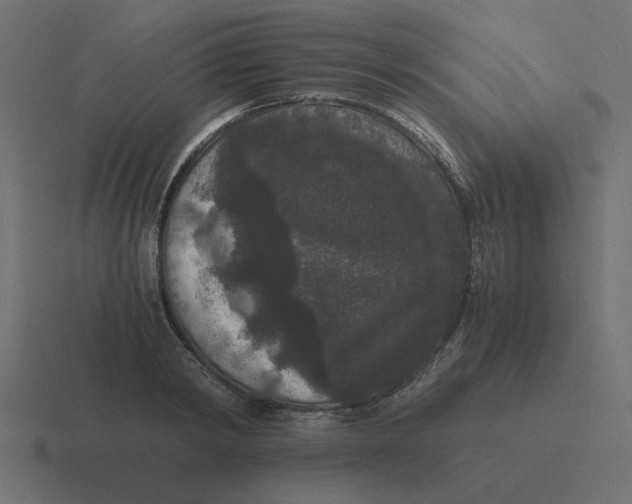 X0000116480798200912292045