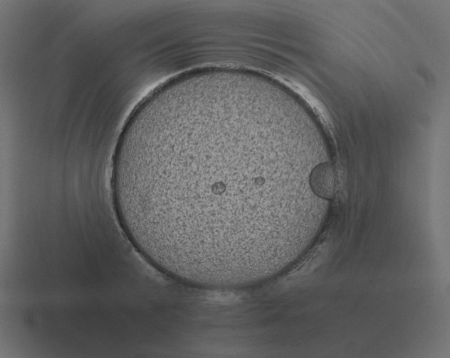 X0000116480799200912292045