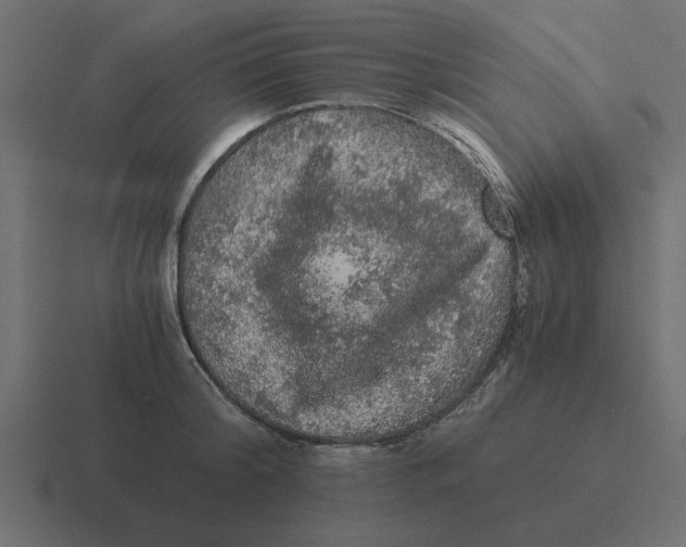 X0000116480804200912292045