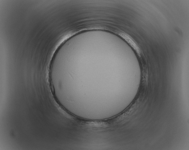 X0000116480805200912292045