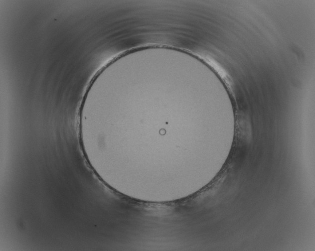 X0000116480807200912292045