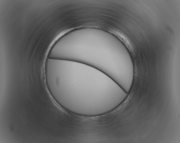 X0000116480808200912292045