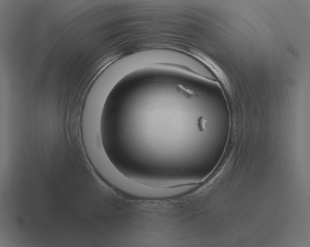 X0000116480809200912292045