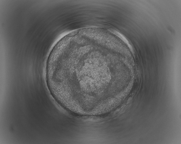 X0000116480811200912292045