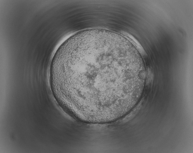 X0000116480812200912292045