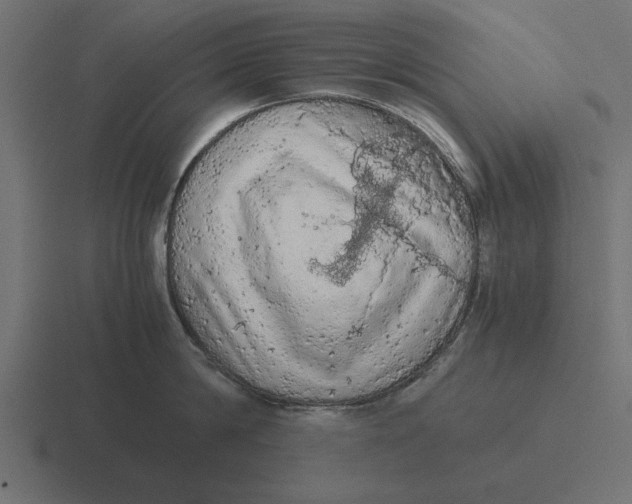 X0000116480814200912292045