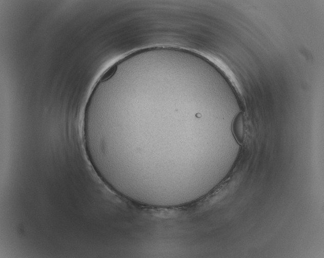 X0000116480815200912292045