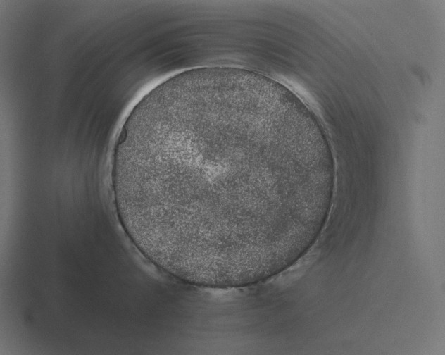 X0000116480816200912292045