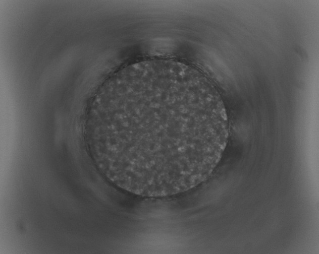 X0000116480817200912292044