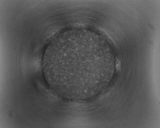 X0000116480819200912292044