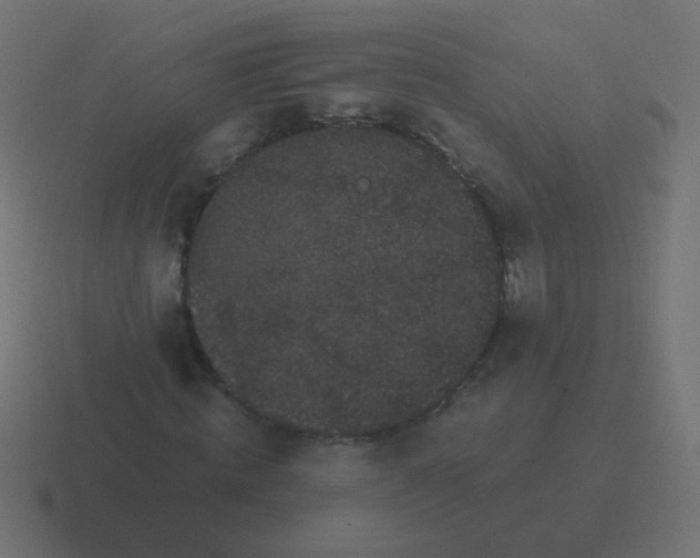 X0000116480820200912292044