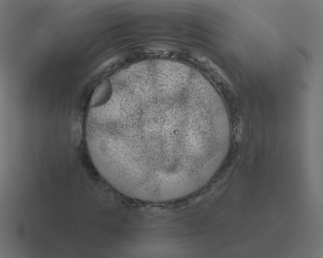 X0000116480821200912292044