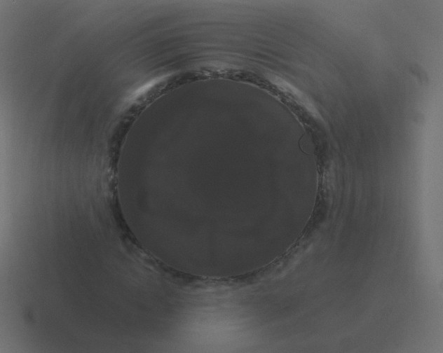 X0000116480822200912292044