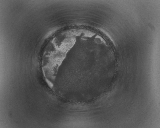 X0000116480823200912292044