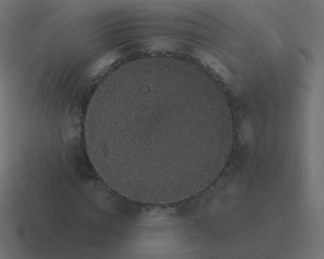 X0000116480824200912292044