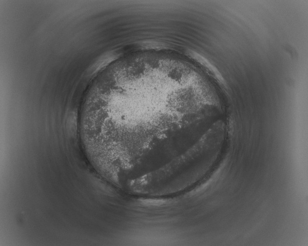 X0000116480825200912292044