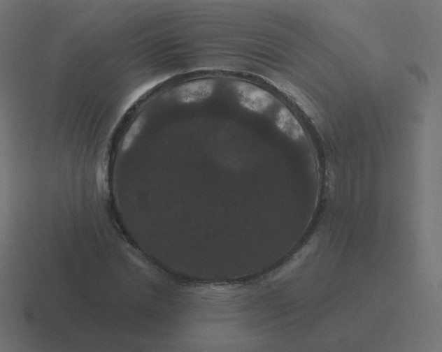 X0000116480830200912292044