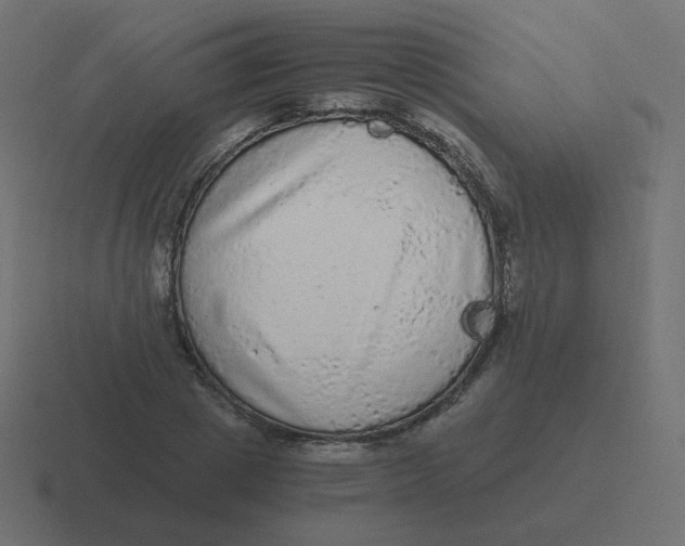 X0000116480833200912292044